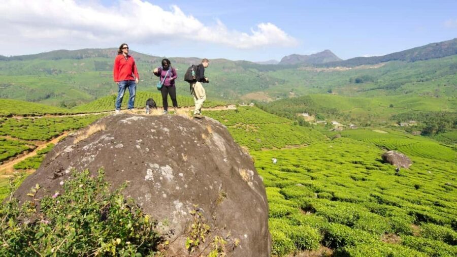 Cochin: 5-Day Private Tour of Munnar, Alleppey & Backwaters - A 5-day Kerala sweep from Cochin with real variety