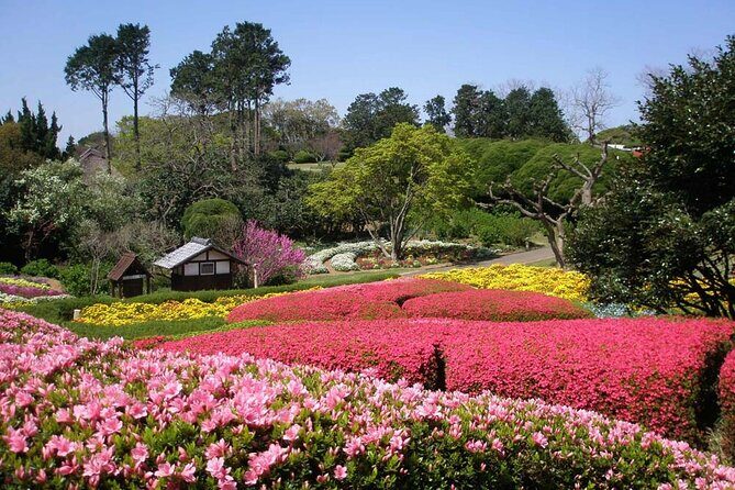 Colors of Japan, Fukuoka Nokonoshima Island Park & Wagyu BBQ - From your hotel or port to the ferry: the smooth part of the day