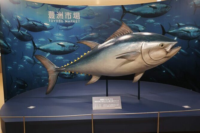 Complete Tuna Auction & Toyosu Fish Market Tour - 4:30 a.m. pickup and how the day actually flows