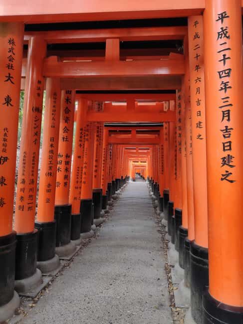 Craig's Kyoto Private Luxury Alphard Tour / The Early Riser - Hidden temples, peaceful gardens, and a route that actually fits you