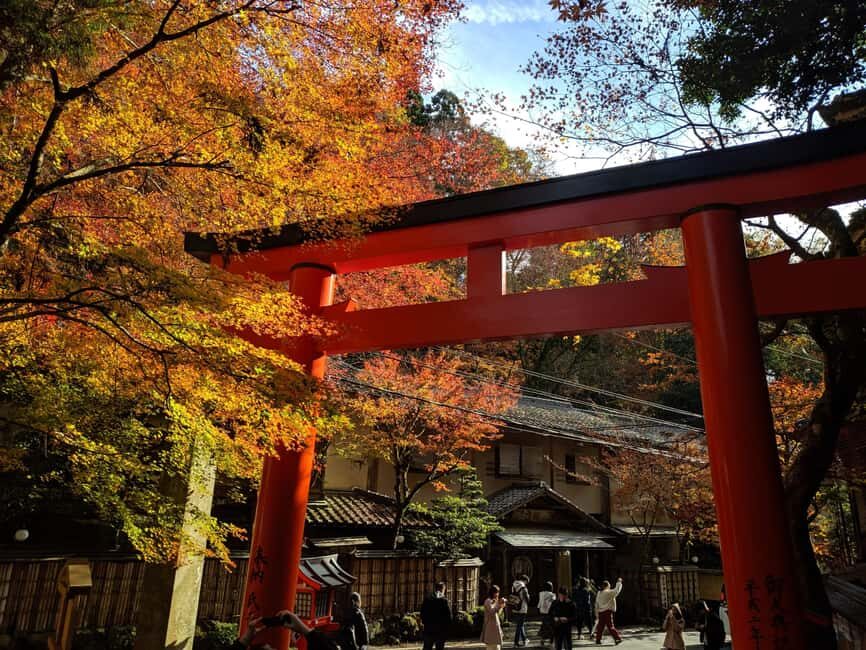 Craig's Kyoto Private Luxury Alphard Tour / The Early Riser - Price and logistics: does $235 per person make sense?