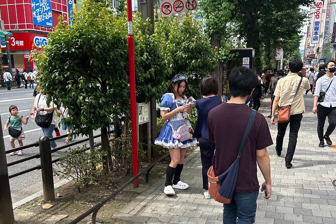 Crazy about Anime! Private Full Day Tokyo Manga Anime Tour by Chartered Vehicle - Price and Value: What You’re Really Paying For
