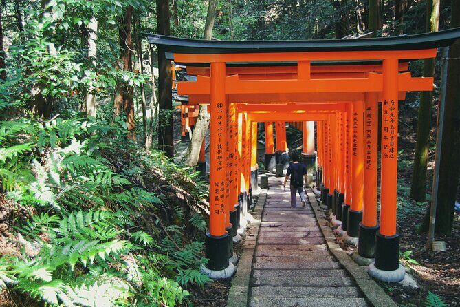 Crowd-Free Kyoto: Fushimi Inari, Nijo Castle & Kinkaku-ji - Why the private guide matters more than you think