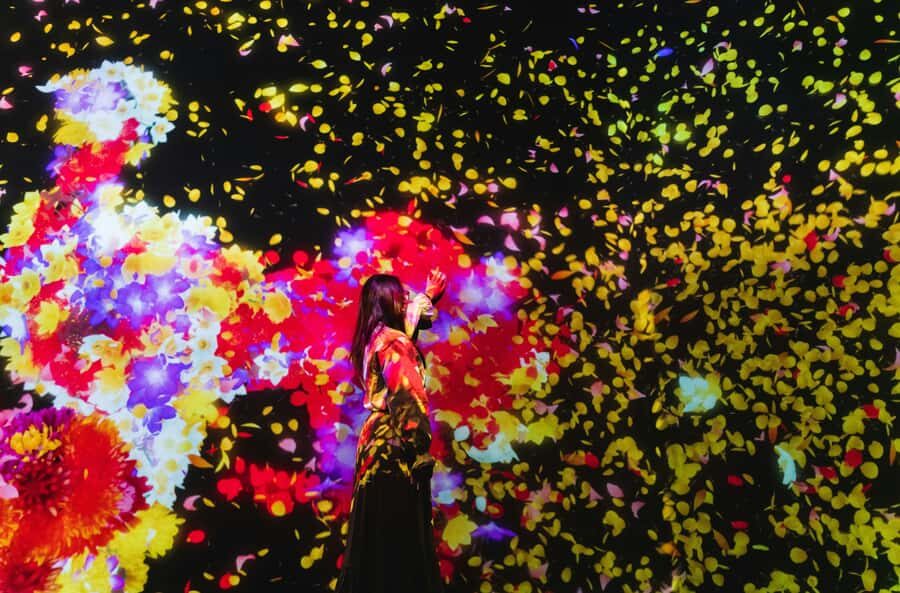 Crowd-Free Tokyo : teamLab, Roppongi Hills Views & NACT - Key takeaways before you go