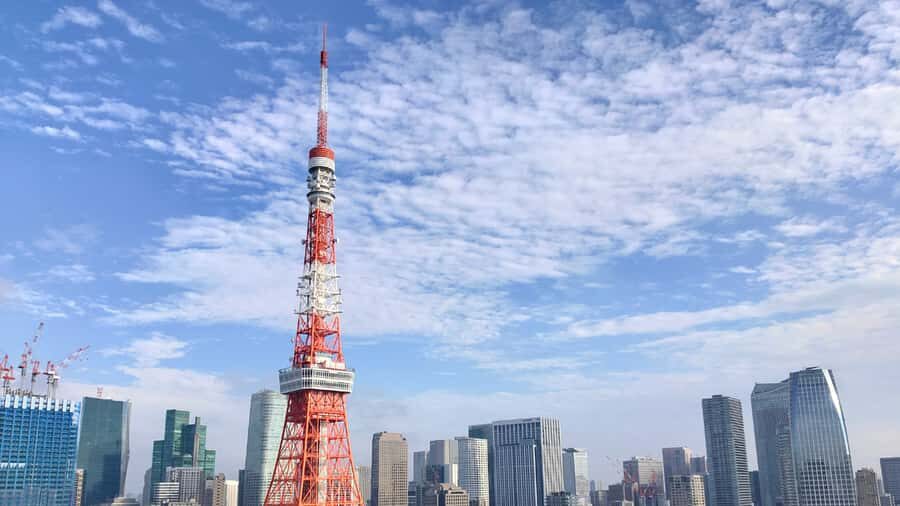Crowd-Free Tokyo : teamLab, Roppongi Hills Views & NACT - Languages and the guide role: how you get more out of the same sights