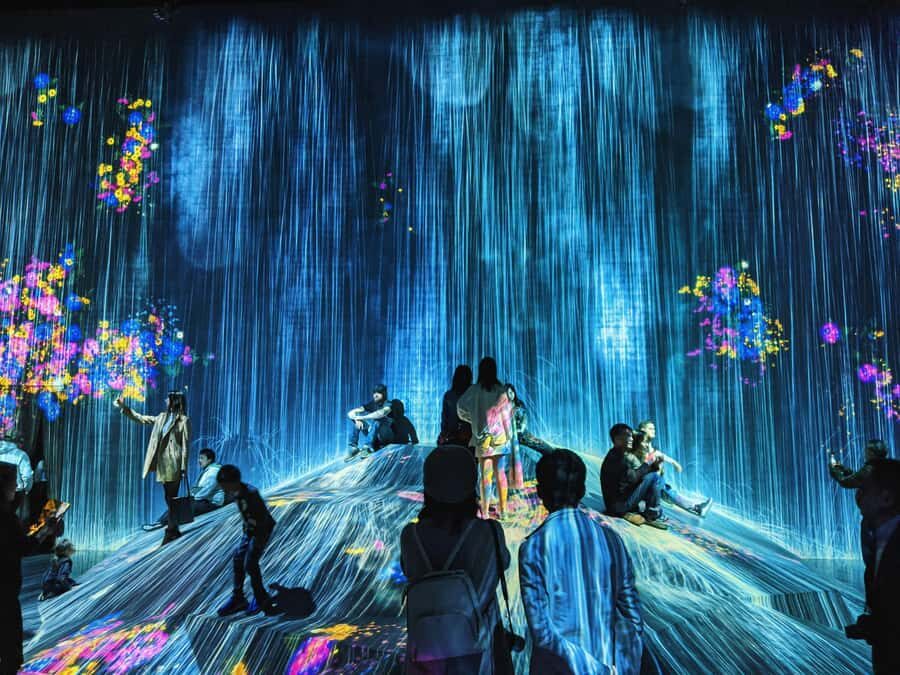 Crowd-Free Tokyo : teamLab, Roppongi Hills Views & NACT - Price and value: is $129 reasonable for this mix?