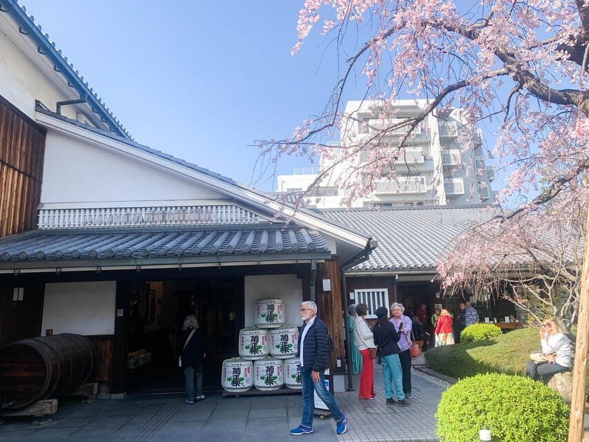 Cruise Shore Excursion: Kobe Sake Tasting with Local Guide - Lunch strategy: how to make the food part count
