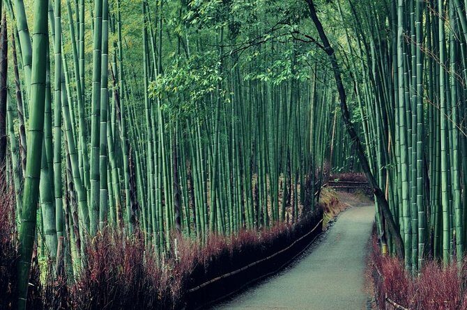 Cruise Stop-Over: Private Custom Day trip to Kyoto from Kobe Port - How the Custom Planning Works (and What to Do With It)