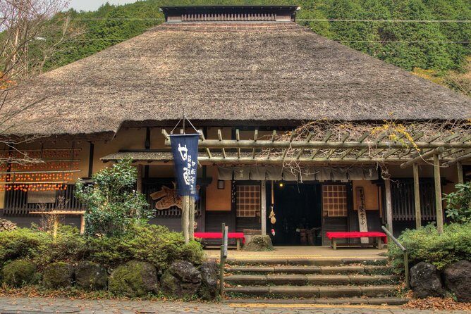 Custom Private Tour in Hakone with a Certified Local Guide - Lunch, Walking, and Getting the Logistics Right