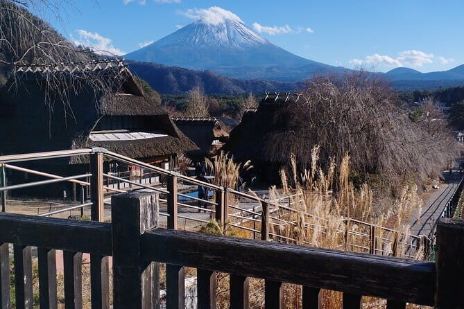 Customisable Mt.Fuji Private Day Trip, English Speaking Driver - Key Highlights You’ll Notice Fast