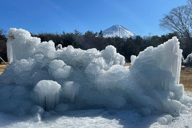 Customisable Mt.Fuji Private Day Trip, English Speaking Driver - Value and Pricing: What $520 Gets You (and When It Feels Worth It)