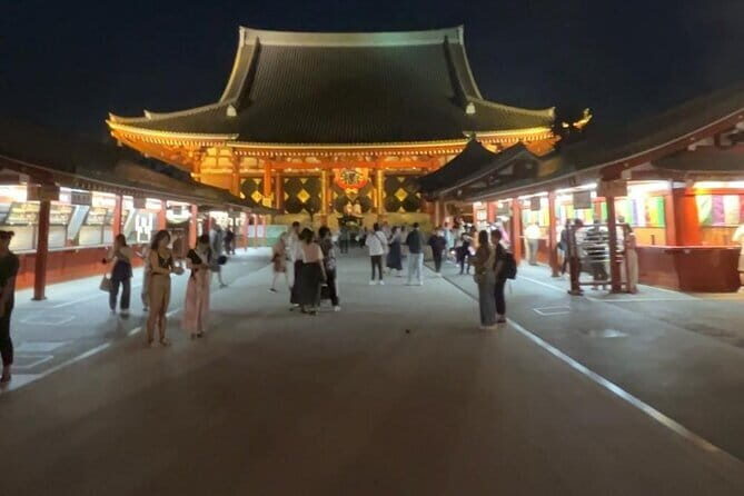 Customizable Private Tokyo Trip with an English Speaking Driver - Why a Private English-Driver Day Beats Tokyo Transit