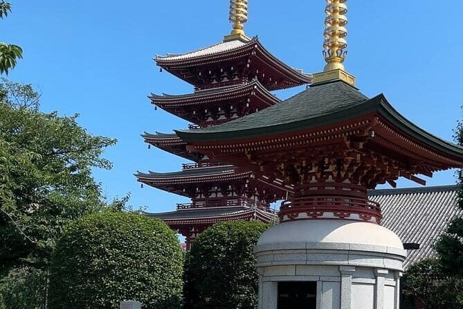 Customizable Private Tokyo Trip with an English Speaking Driver - Logistics That Keep the Day Comfortable