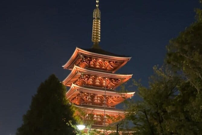 Customizable Private Tokyo Trip with an English Speaking Driver - Price and What You Actually Get for $420