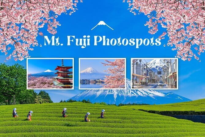 Customizable Tokyo Tour - Who this tour is best for (and who should skip it)