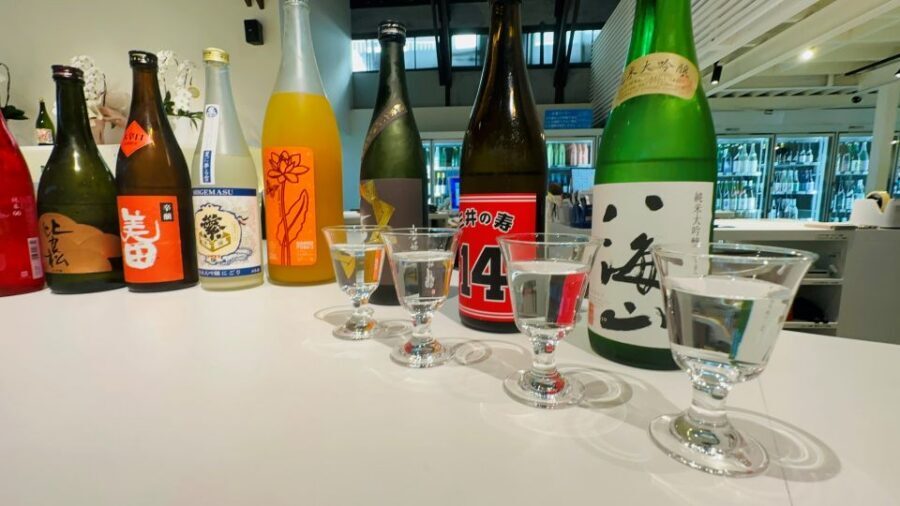 Customized Japanese Culture Experience Tour in Fukuoka - Nature hot springs: quiet time with Japanese etiquette