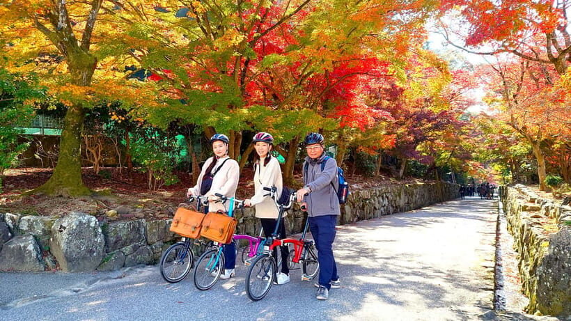 Cycling Tour at Uji's Matcha Green Tea Fields and Heritage - Uji feels like a slower, older Kyoto