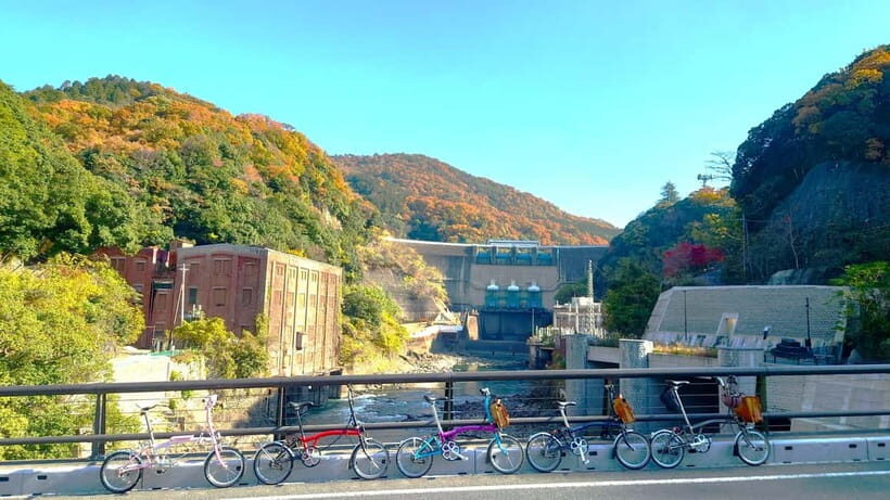 Cycling Tour at Uji's Matcha Green Tea Fields and Heritage - The shrine and temple loop: Uji Shrine, Ujigami Shrine, Kosho-ji