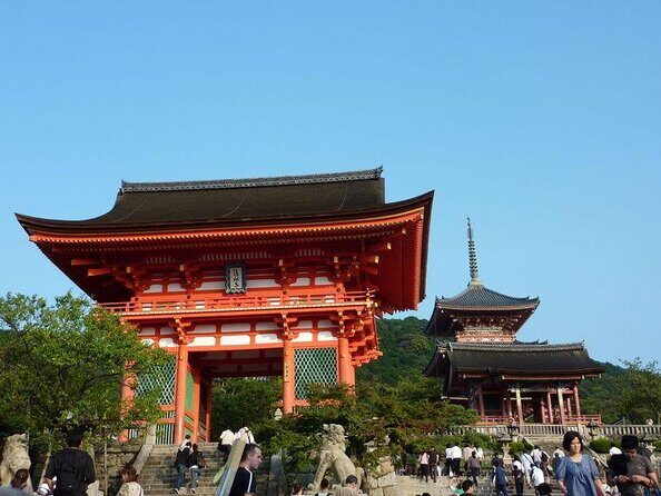 Dark Kyoto Tour - Key Points Worth Knowing Before You Go