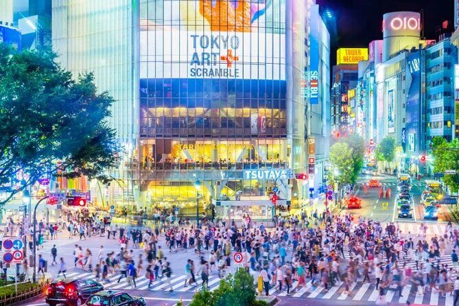 Day Private City Tour of Tokyo with English speaking driver - A Private Day in Tokyo Without the Train Guesswork