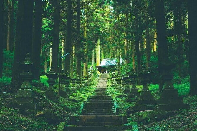 Day Tour to Miyazaki Takachiho Gorge & Shrine depart from Fukuoka - First stop: Kamishikimi Kumanoza Shrine under cedar