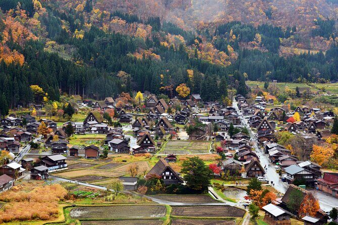 Day Trip for Shirakawago ,Takayama & gujo hachiman from Nagoya - Shopping stop and souvenirs: pickles and soy bean ice cream