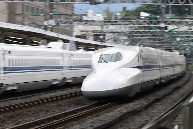 Day Trip Kyoto from Tokyo with a Licensed Guide by Bullet Train - Leaving Tokyo with Hotel Pickup and a Real Plan