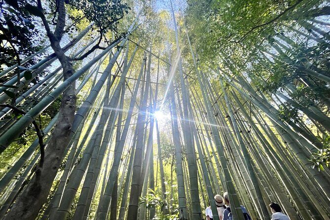 Day Trip to Kamakura & Enoshima: Shrines, Seaside, Temples & Tea - Transport and admissions: the real “easy button” here