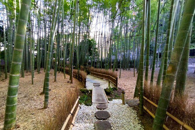 Day Trip to Kamakura & Enoshima: Shrines, Seaside, Temples & Tea - Shinjuku to Fujisawa: the train start that sets your whole day