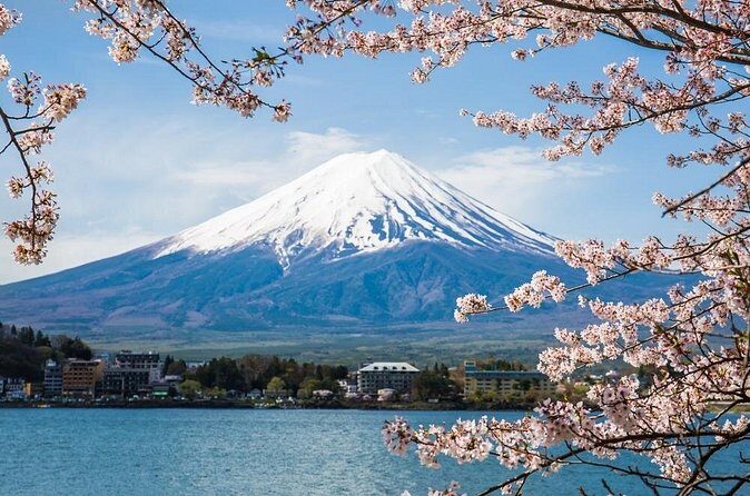 Day Trip To Mount Fuji and Hakone from Tokyo with English Guide - Mount Fuji 5th Station: 2,300 meters of altitude and weather reality