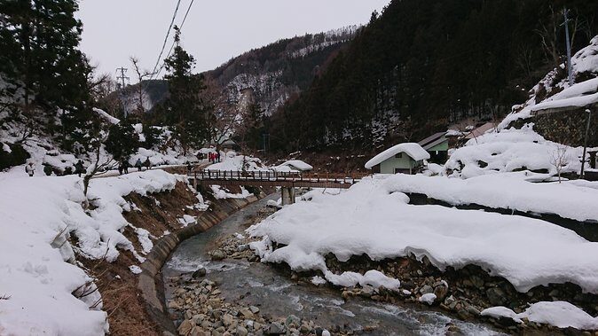 Day Trip to See the Snow Monkeys from Shinjuku with Lunch Buffet - When the Hot Springs Moment Doesn’t Happen