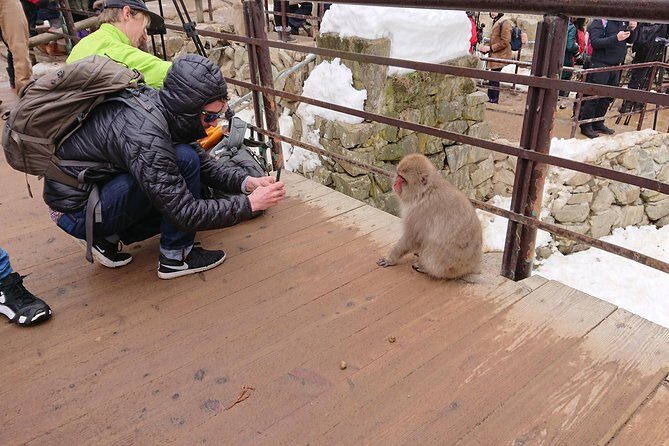Day Trip to See the Snow Monkeys from Shinjuku with Lunch Buffet - Price and Logistics: What You’re Really Paying For
