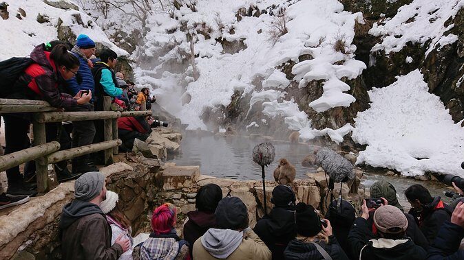 Day Trip to See the Snow Monkeys from Shinjuku with Lunch Buffet - How the Group Experience Affects Your Day (Good and Bad)