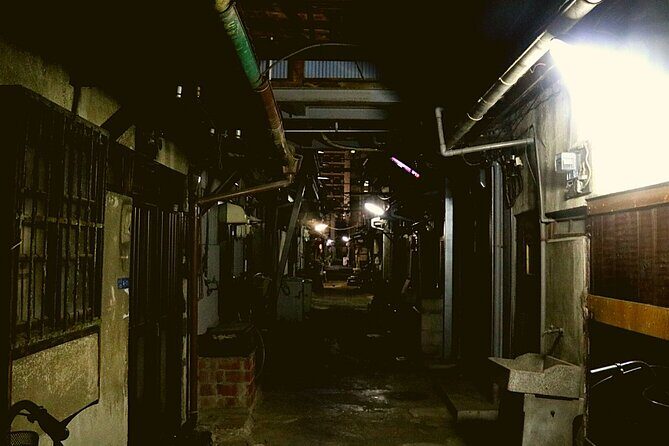 Deep Backstreet Osaka Tours (Option to add Dinner) - Street-Food Tastings on Family Stalls: What to Expect
