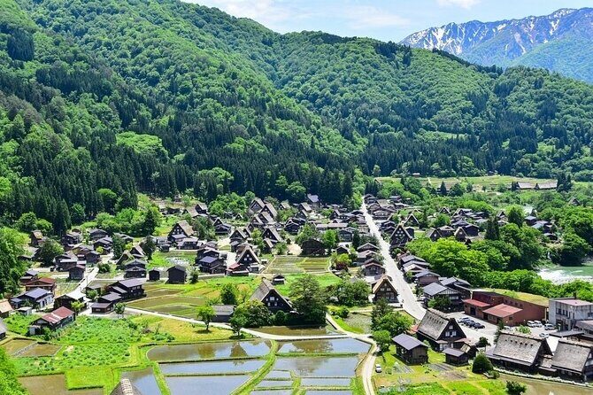 Departing from Takayama [Regular sightseeing bus] World Heritage Sites Shirakawago and Gokayama Ainokura - Takayama to Gassho Country: What This Day Trip Actually Delivers