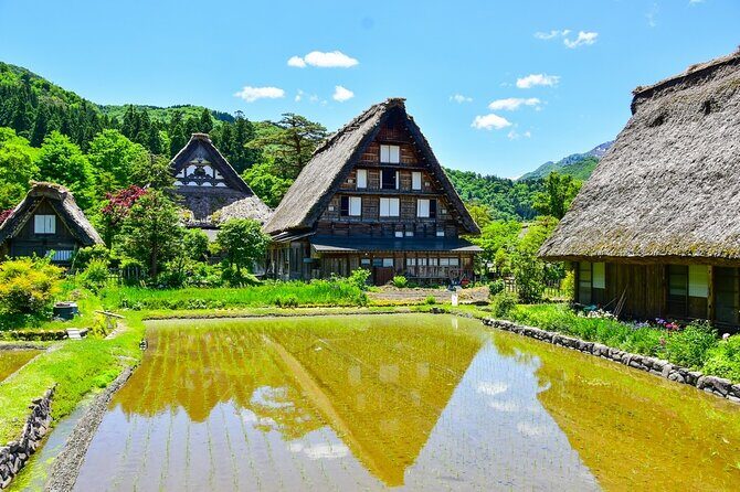 Departing from Takayama [Regular sightseeing bus] World Heritage Sites Shirakawago and Gokayama Ainokura - Lunch at Shirakawa-go: How to Avoid the Time Squeeze