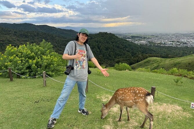 Discover Ancient Nara: Private Car Tour from Kyoto or Osaka - Nara Park deer time: photos, bowing, and etiquette