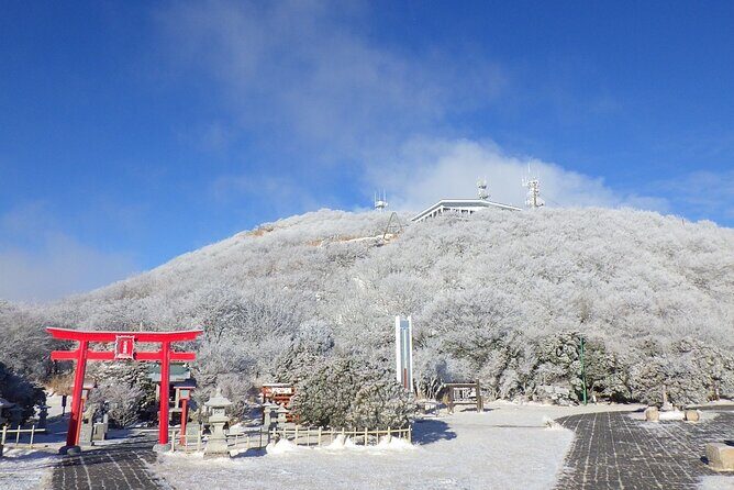 Discover Beppu and Yufuin Nature and Onsen Trip - Up to Mt. Tsurumi: The Ropeway Part That Changes the Day