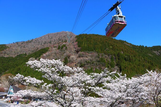 Discover Beppu and Yufuin Nature and Onsen Trip - Yufuin on Foot: Lake Kinrinko and Yunotsubo Kaido