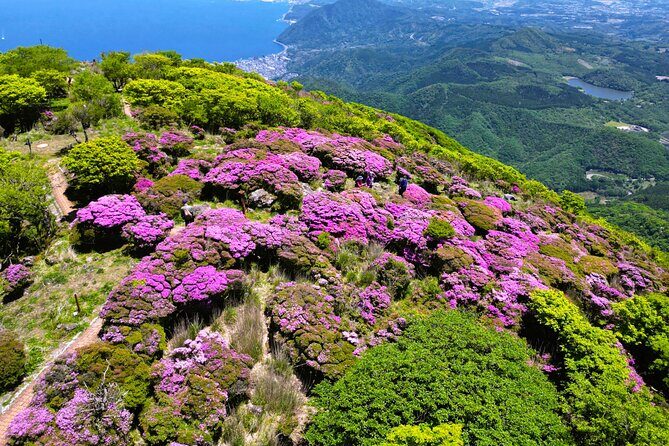 Discover Beppu and Yufuin Nature and Onsen Trip - Getting Back to Beppu: End at Yufuin Station