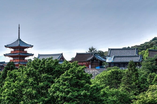 Discover Himeji, Kobe and Nara from Osaka - Stop 1: Himeji Castle in your first two hours