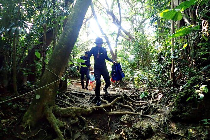 Discover Ishigaki's Hidden Treasures Snorkeling Tour at BlueCave - BlueCave, Minus the Boat: Beach Entry Snorkeling in Ishigaki