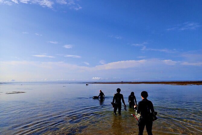 Discover Ishigaki's Hidden Treasures Snorkeling Tour at BlueCave - Price and Value: Is $63.85 Worth It?