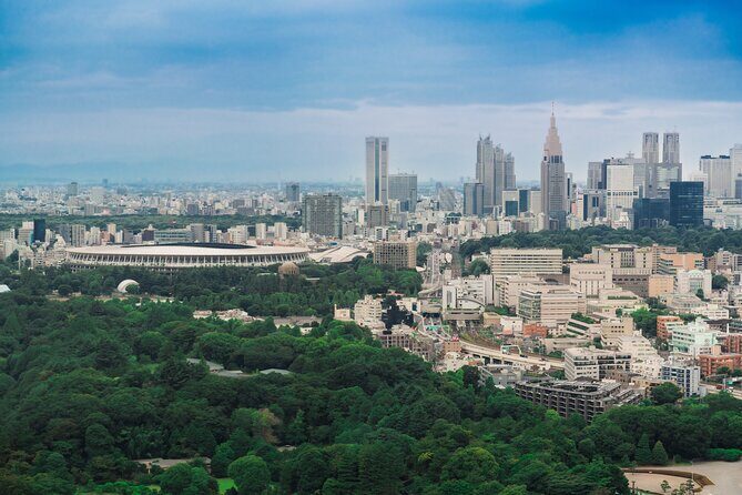 Discover Japanese Politics Over a Coffee in Tokyo - Price and value: is $195.46 worth it?
