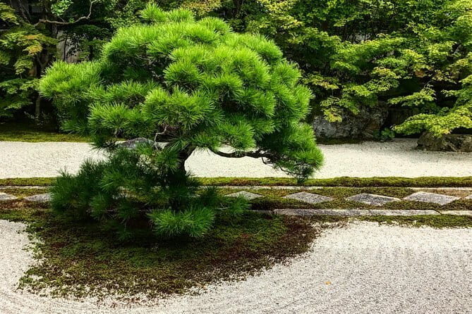 Discover Kyoto by Bike: Authentic Half Day Tour - Philosopher’s Path: A Canal-Side Ride That Needs Time to Sink In