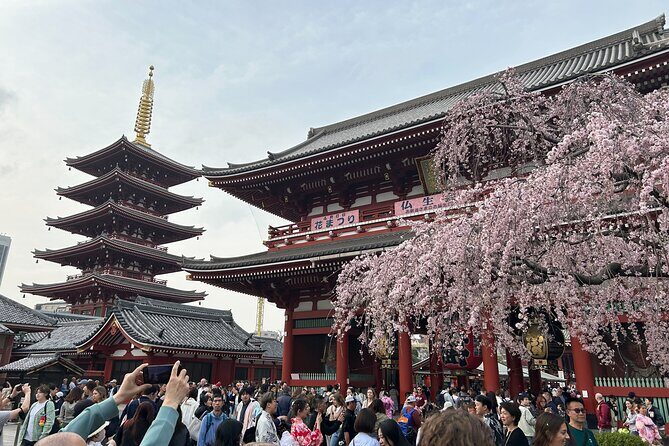 Discover the hidden gems of Tokyo:Private Tour with a Local Guide - Akihabara and electronics backstreets: from PC peripherals to anime energy