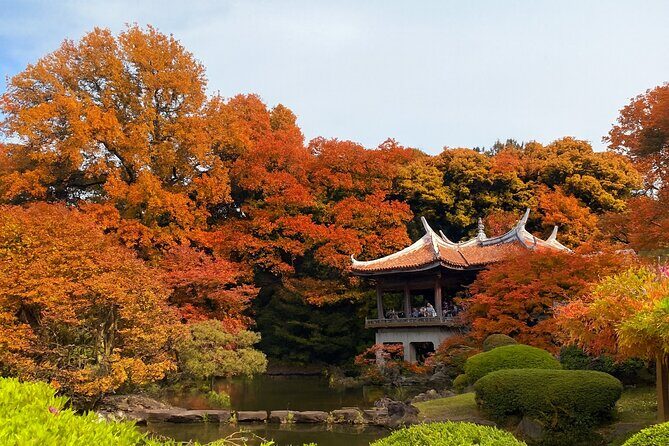 Discover the History of Shinjuku Gyoen – Private Walking Tour - Entering Shinjuku Gyoen at Shinjuku Gate