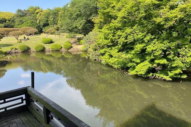 Discover the History of Shinjuku Gyoen – Private Walking Tour - Timing, Walking Pace, and What to Bring for a Smooth 2 Hours