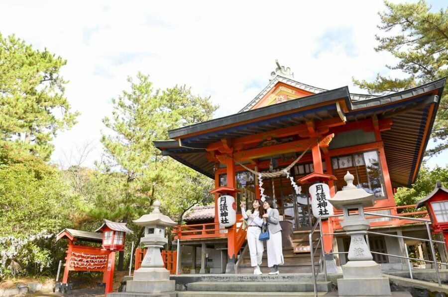 Discover the Wonder of Sakurajima Half Day Tour in Kagoshima - Time near Sakurajima Port: the island’s practical center