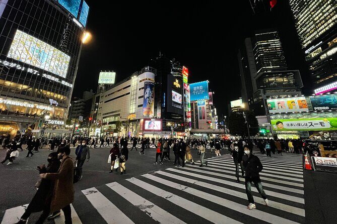 Discover Tokyo: 3-Hour Private Guided Photo Walking Tour - Picking Shibuya, Shinjuku, Akihabara, or Odaiba